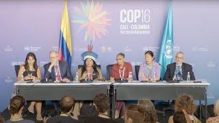 Entrevista coletiva da delegação brasileira na COP16 da Biodiversidade