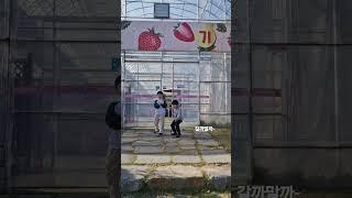 #논산 딸기공원