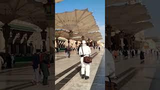 Qismat Meri chamkaye chamkaye Aaqa#trending #muhammadﷺ#subscribe #viral #subhanallah #trend #allahﷻ