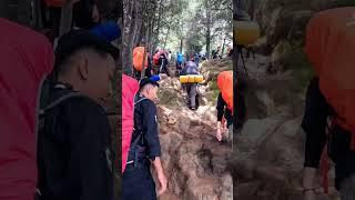 Jalur pendakian gunung Prau via Patak Banteng #short #pendaki #prau