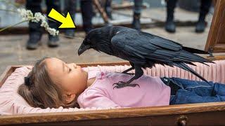 During the funeral, a raven sat on the girl's coffin. A second later the unthinkable happened!