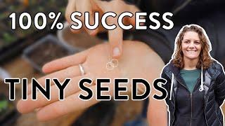 Successful Small Seed Starting! How To Get Better Germination Rates