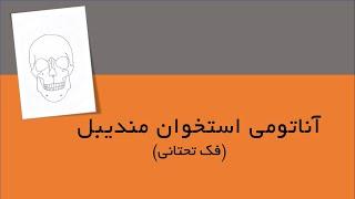 آناتومی سر و گردن - استخوان مندیبل ( فک تحتانی ) به زبان فارسی