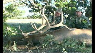 Bowhunting GIANT 400"+ Arizona Bull Elk With Bob Fromme Pt. 2