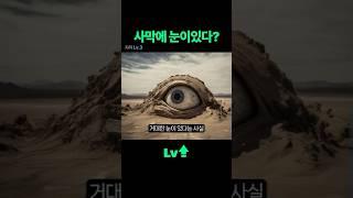[지리 Lv.3] 사막에 눈이 있다??#상식 #사하라의눈 #리차드구조