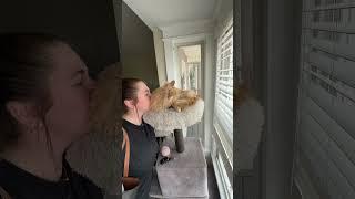This era might be coming to and end soon  #dayoff #parttime #dayinmylife #dailyvlog #dayoffvlog