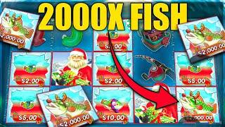 2000X FISH BIG BASS BONANZA CHRISTMAS!