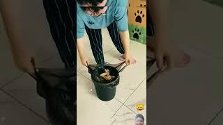 #shukla chakrobortty short vedio #############