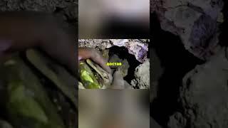 Древний клад или технология богов