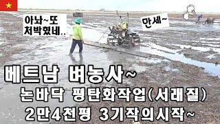 [베트남벼농사] 논24000평 3기작 서래질(평탄화작업) 그리고 뱀치찌게!