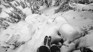 Whistler Tree Skiing And Pillows