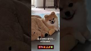 참 신기해요