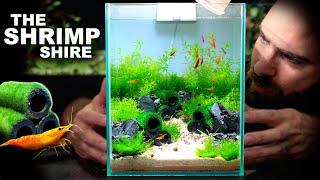 The Shrimp Shire: Nano Neocaridina Shrimp Aquascape Tutorial w/ No Filter