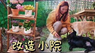 2117集:小微回家了，和爸妈一起改造小院真的很开心，两只狗狗太调皮了 小微在网上买了户外桌椅，买了很多盆栽，和爸妈一起的日常也快乐