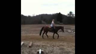 November 20 - Riding update