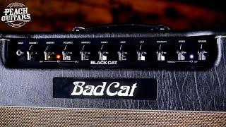 No Talking...Just Tones | Bad Cat "Black Cat"