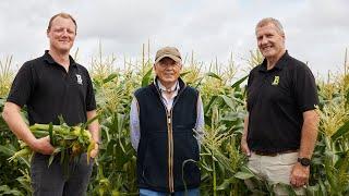 Sweetcorn Farming at Barfoot Farm  | Waitrose