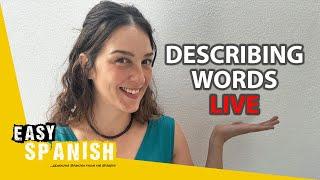 Easy Spanish Trivia: Describing Words (For Beginners)