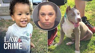 Baby is Ripped Apart by Vicious Pitbulls After Babysitter Left Child in Bedroom: Cops