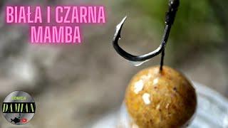 Sam na sam z Białą i Czarną Mambą