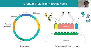 МЕЖДУНАРОДНЫЙ КОНКУРС iGEM: МОЖНО ЛИ СДЕЛАТЬ ОТКРЫТИЕ В ШКОЛЕ?