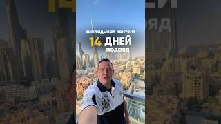 Реальный доход за 14 дней на ДЗЕН