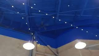 52" Kendal Builder's Choice Ceiling Fans model # AC6852