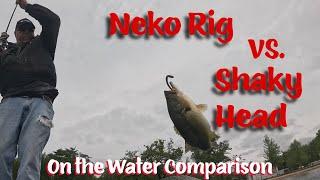 Neko Rig Outperforms Shaky Head !