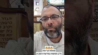סגולת קריאת מ"ב מסעות בפרשת מסעי  כאשר הפרשה בנפרד וכאשר היא מחוברת  מדהים!