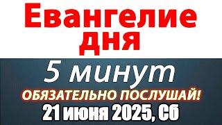 Евангелие дня с толкованием 21 июня 2025 года Суббота Чтимые святые. Церковный календарь