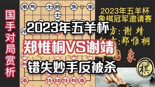 2023年第30届“五羊杯”全国象棋冠军邀请赛，谢靖飞刀反杀郑惟桐！错失良机，反被妙手击溃