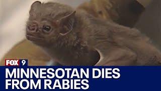 Minnesotan dies after rabies exposure from infected bat