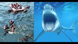 Eaten Alive! Forgotten WW2 Shark Massacre (NOT THE INDIANAPOLIS)