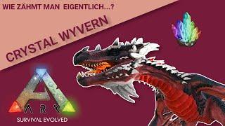 CRYSTAL WYVERN - Wie zähmt man eigentlich...?