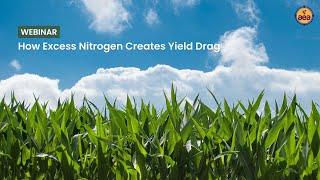 How Excess Nitrogen Creates Yield Drag | John Kempf and Advancing Eco Agriculture