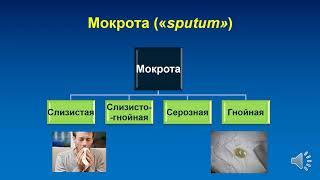 ПВБ. Синдромы заболеваний органов дыхания.