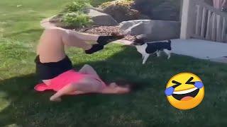 TRY NOT TO LAUGH  Best Funny Videos Compilation  Memes PART 218