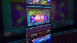 BIG PIGGY ON PIGGY BANKIN SLOT!! #slots #casino #jackpot #slotmachine #gambling #slot #vegas