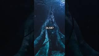 #facts #space #history #information #weloveyouintheusa The 5 deepest places in the world 🪝