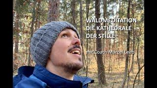 Die Kathedrale der Stille - Waldmeditation mit Marcel Leeb Systemischer Coach in freier Natur