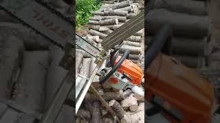 #chainsaw #firewoodcutting #chainsawman #stihl #stihlms261 #shortvideo #shorts #brennholz