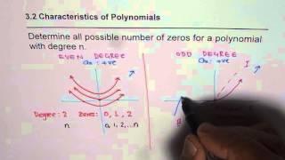 Write Possible Number of Zeros of Polynomial with Degree n