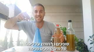 הדברה ביתית פשוטה וזולה - איך מחסלים את הכנימות על הצמחים בגינה באמצעות ריסוס בחומרים טבעיים