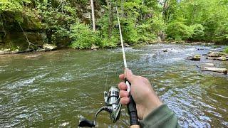 TROUT Fishing with Inline Spinners (Brown & Rainbow)