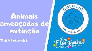 Animais ameaçados de extinção