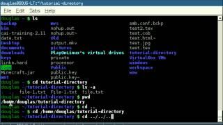 Linux Back to Basics Episode 1: Command Line Navigation