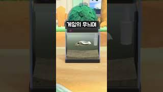 고인물만 아는 모동숲 물고기 TMI
