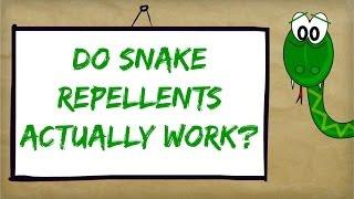 Best Snake Repellent Reviews | Natural Ways to Control and Repel Snakes