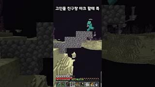 자칭 고인물 친구랑 마크 할때 특