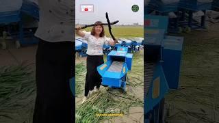 Best Chaff Cutter Machine